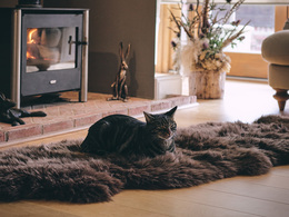 VILMA FÅRSKINN 180 CM