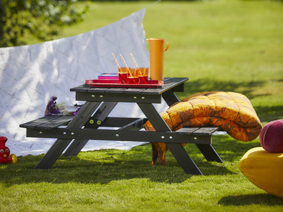 PICNIC MINI 48X90 CM