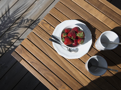 GOTLAND TABLE 60X120 CM