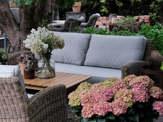 Dallas Soffa
