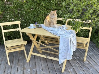 Torpet Bord Gyllene Ockra